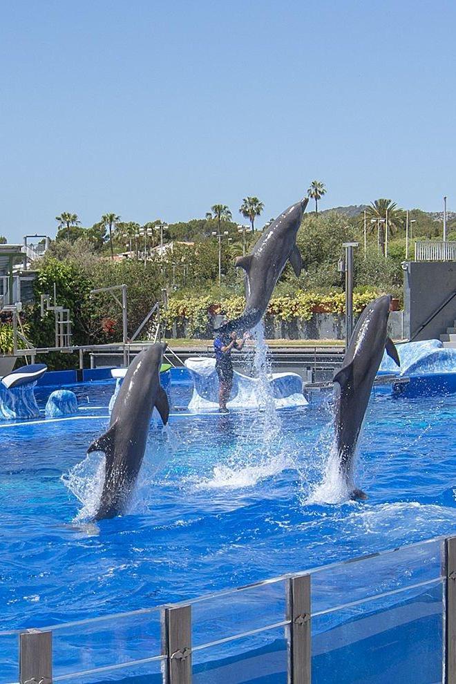 Marineland Mallorca